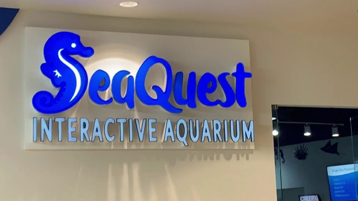 Review SeaQuest Fort Worth. I did a quick search for “Things to do