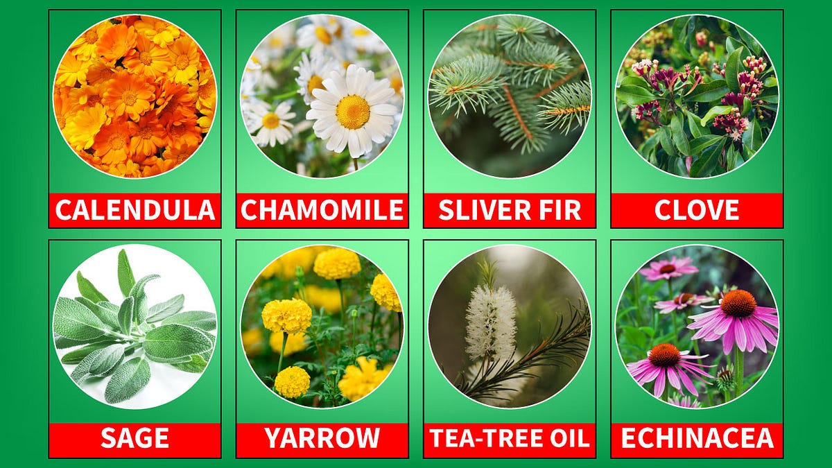 Nature’s Smile Review — Everything You Need to Know About It by