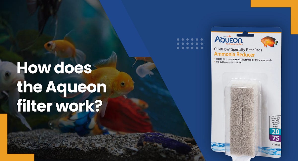 How Aqueon Aquarium Filters Work to Keep Your Tank Clean? by KwikPet Medium
