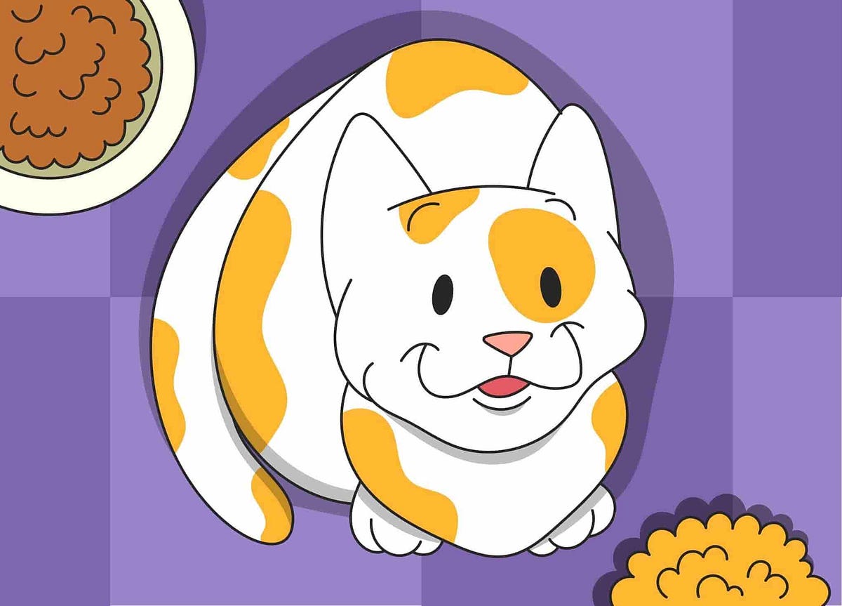 Cat Sounds and What They Mean How to Decode Cat Noises by Petcube