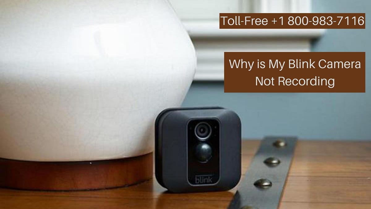 What To Do When Blink Camera Not Recording Anything? Blink Camera Not