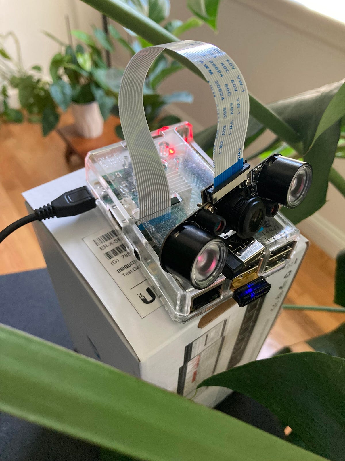 Pi(me)lapse — Creating a plant growth time lapse at home with a