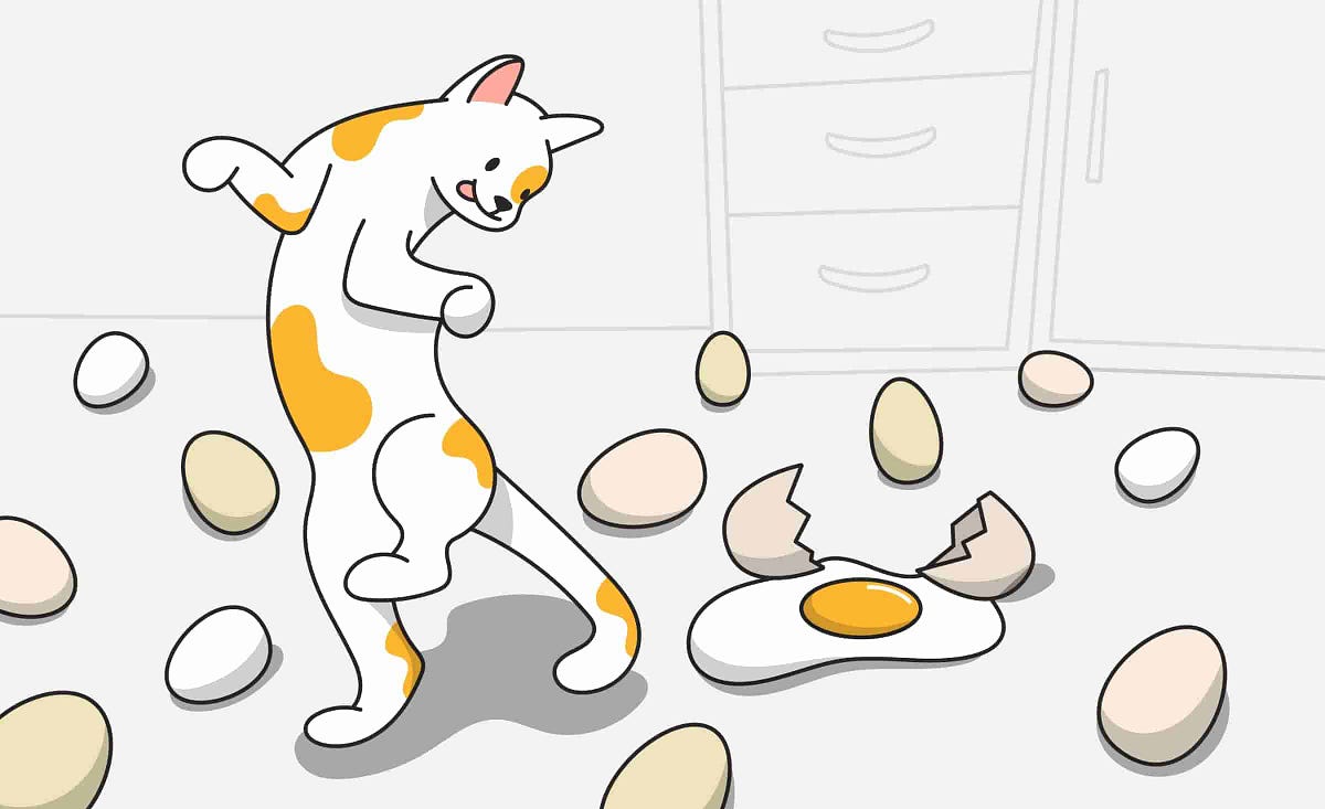 Are Eggs Good for Cats and How to Cook Them for Your Kitty by Petcube