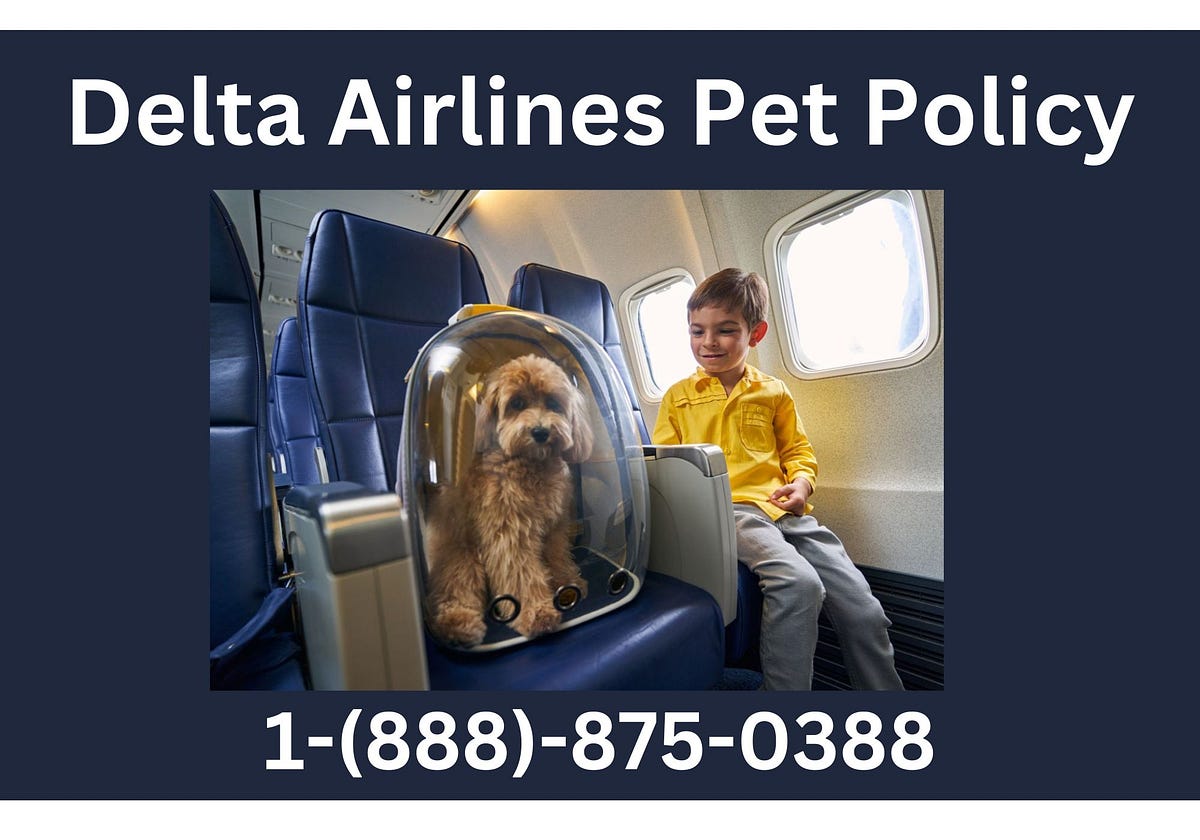 Delta Airlines Pet Policy Travel With Dog by Rayanwarn Medium