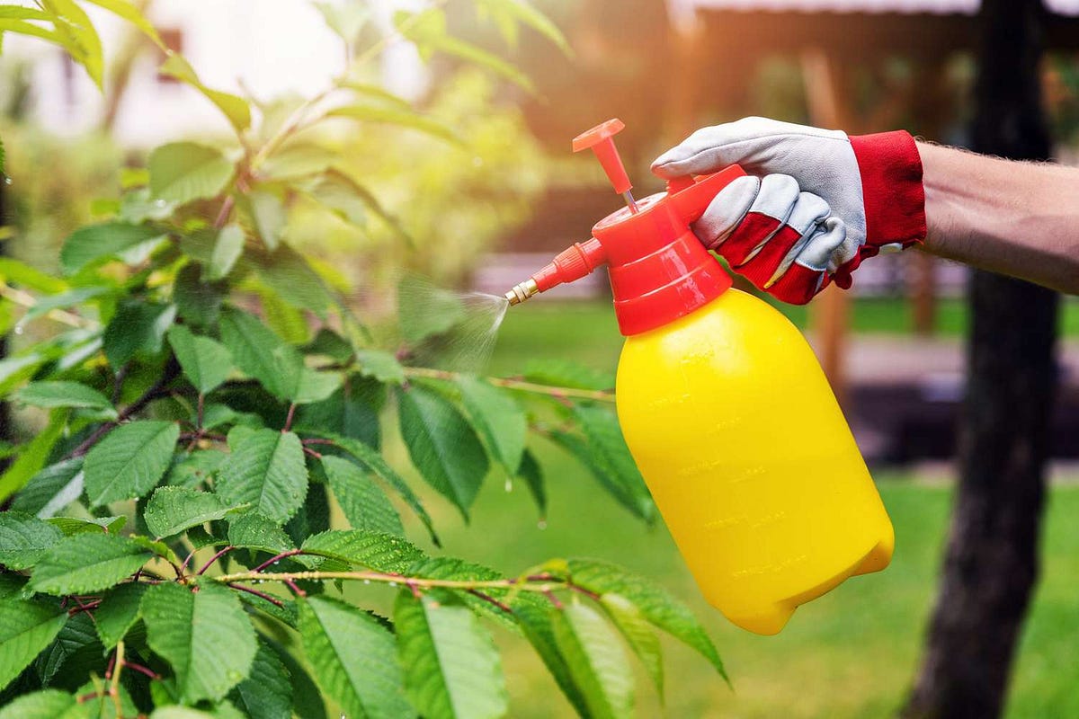 8 Effective Homemade Weed Killers for a Lush Garden Say Goodbye to Weeds Naturally by Lovely
