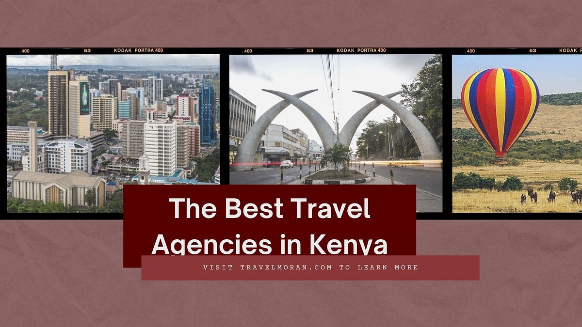 Planning to Travel to Kenya? Here are the Best Travel Agencies In The