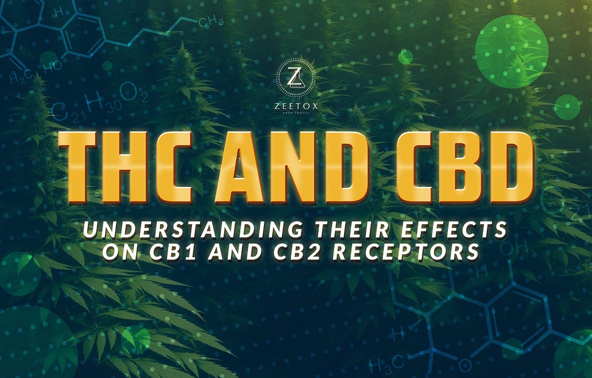 THC and CBD Understanding Their Effects on CB1 and CB2 Receptors by