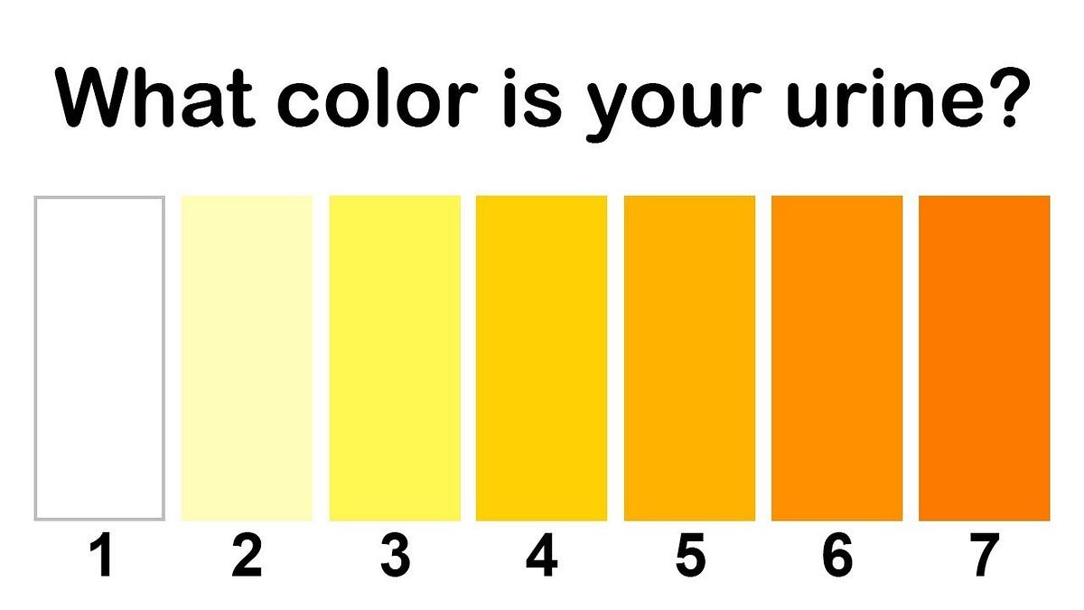What the Color of Your Pee Says About Your Health by Prakesh Test