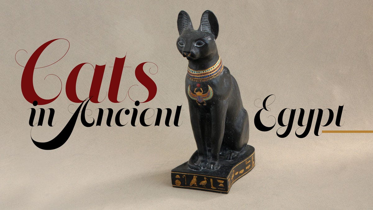 Cats in Ancient Egypt 6 Fascinating Facts by Cultural Elements Medium