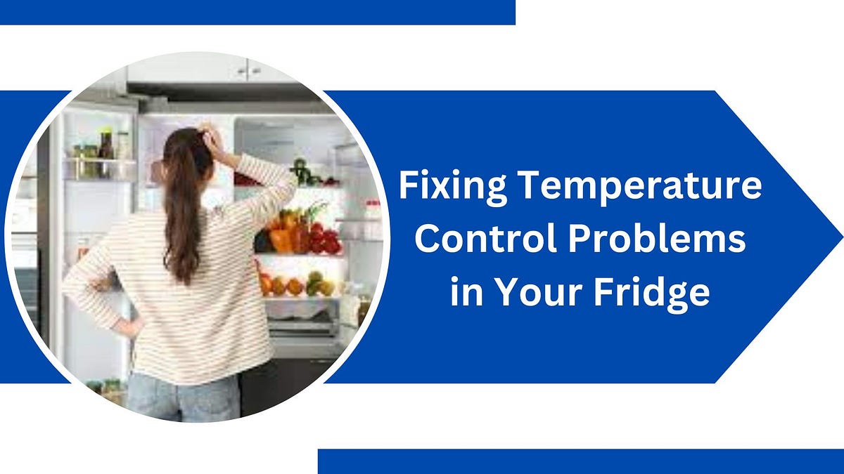 Fixing Temperature Control Problems in Your Fridge A Step by Step