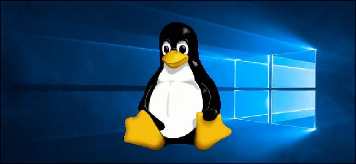 What is WSL (Windows Subsystem for Linux) and should you use it? by