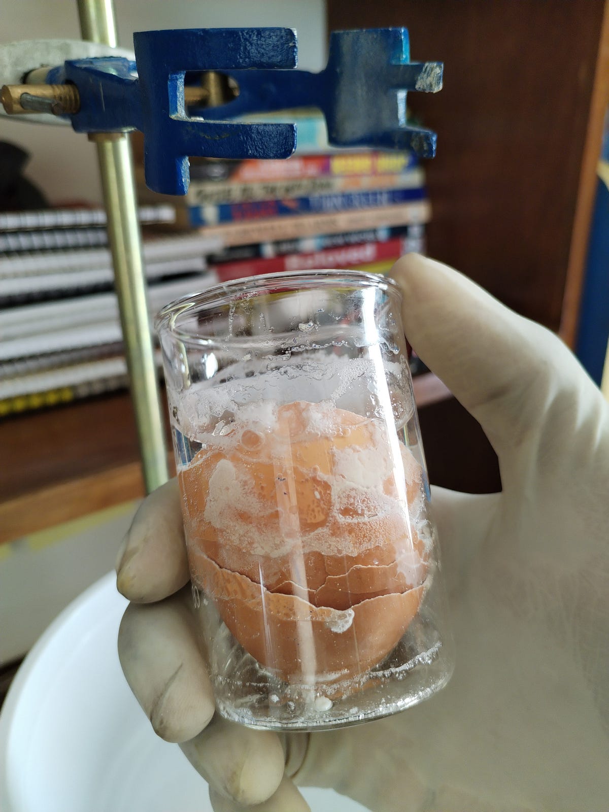 Egg Shells in Sulfuric Acid Chemistry Experiment Medium