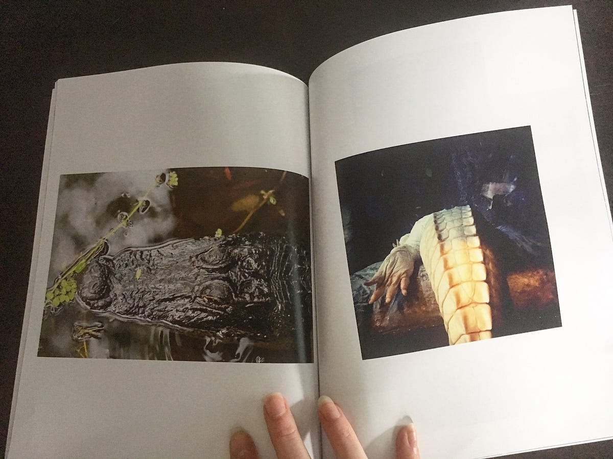 How much it costs to make a zine. Making art is an expensive endeavor