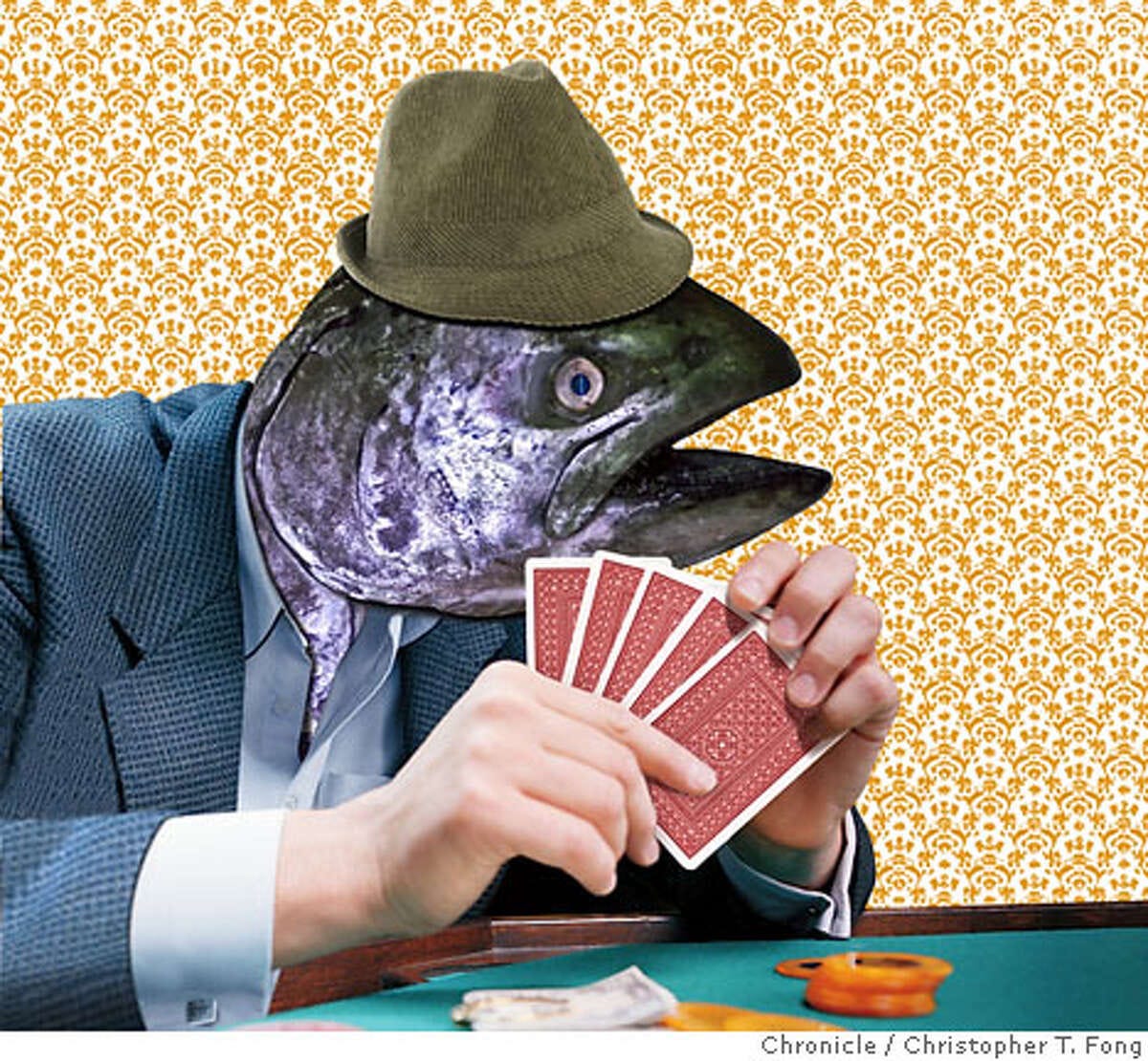 What Is A “FISH” In Poker? by Cheese Stakes Poker by