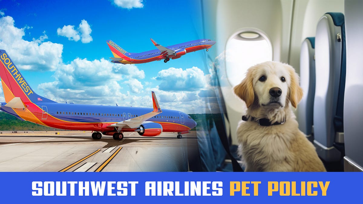 Does Southwest Allow Pets On Board? Southwestairtrip Medium