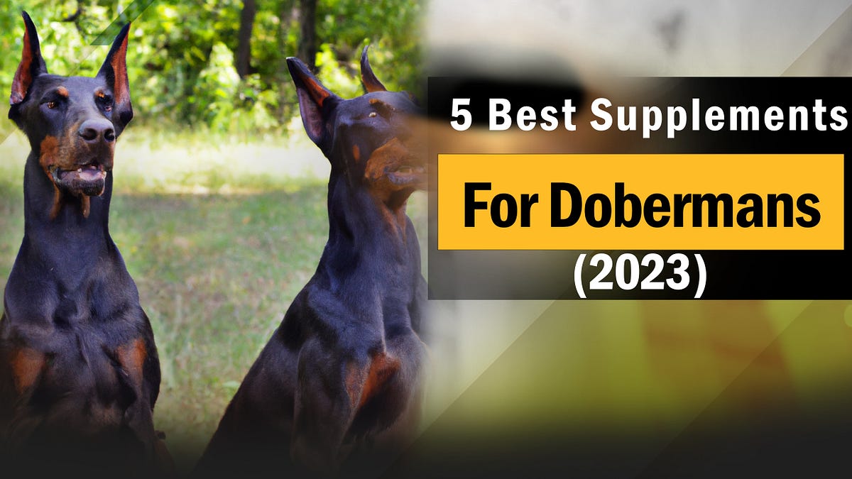 5 Best Supplements For Dobermans 2023 puppyplaying Medium