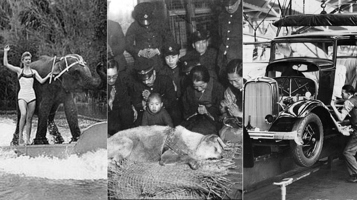7 Bizarre Photos Shot Around The World That Will Make Your Jaw Drop