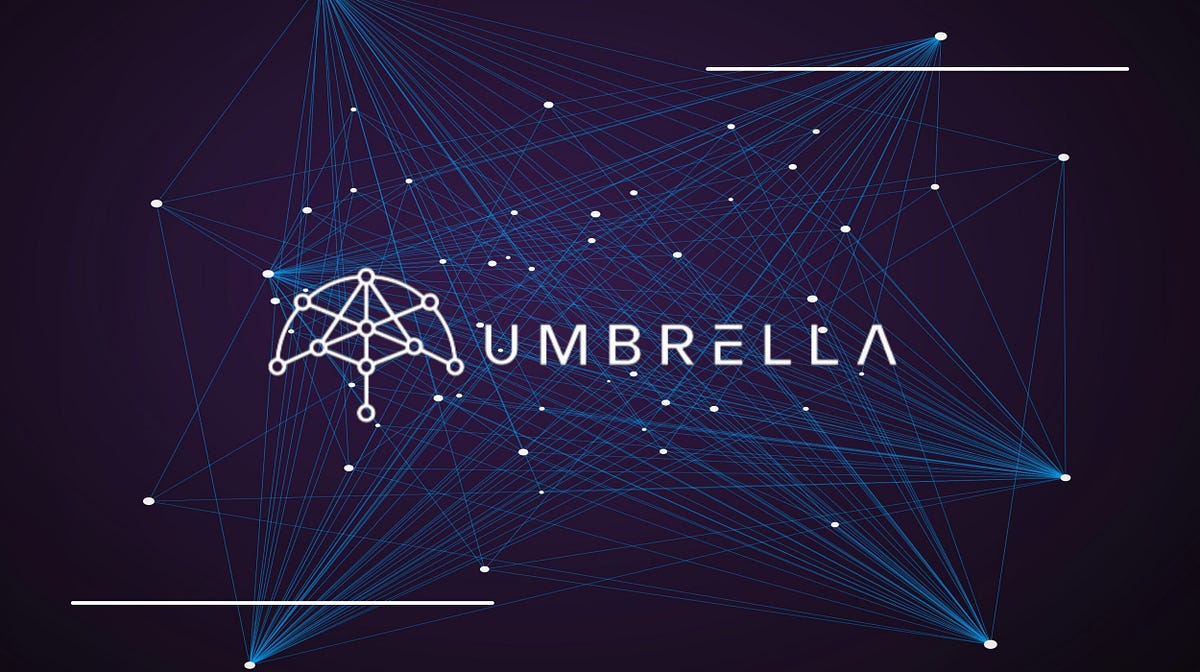 Mitigating the ‘Oracle Problem’ with Umbrella Network by DeFi_Debbie Medium