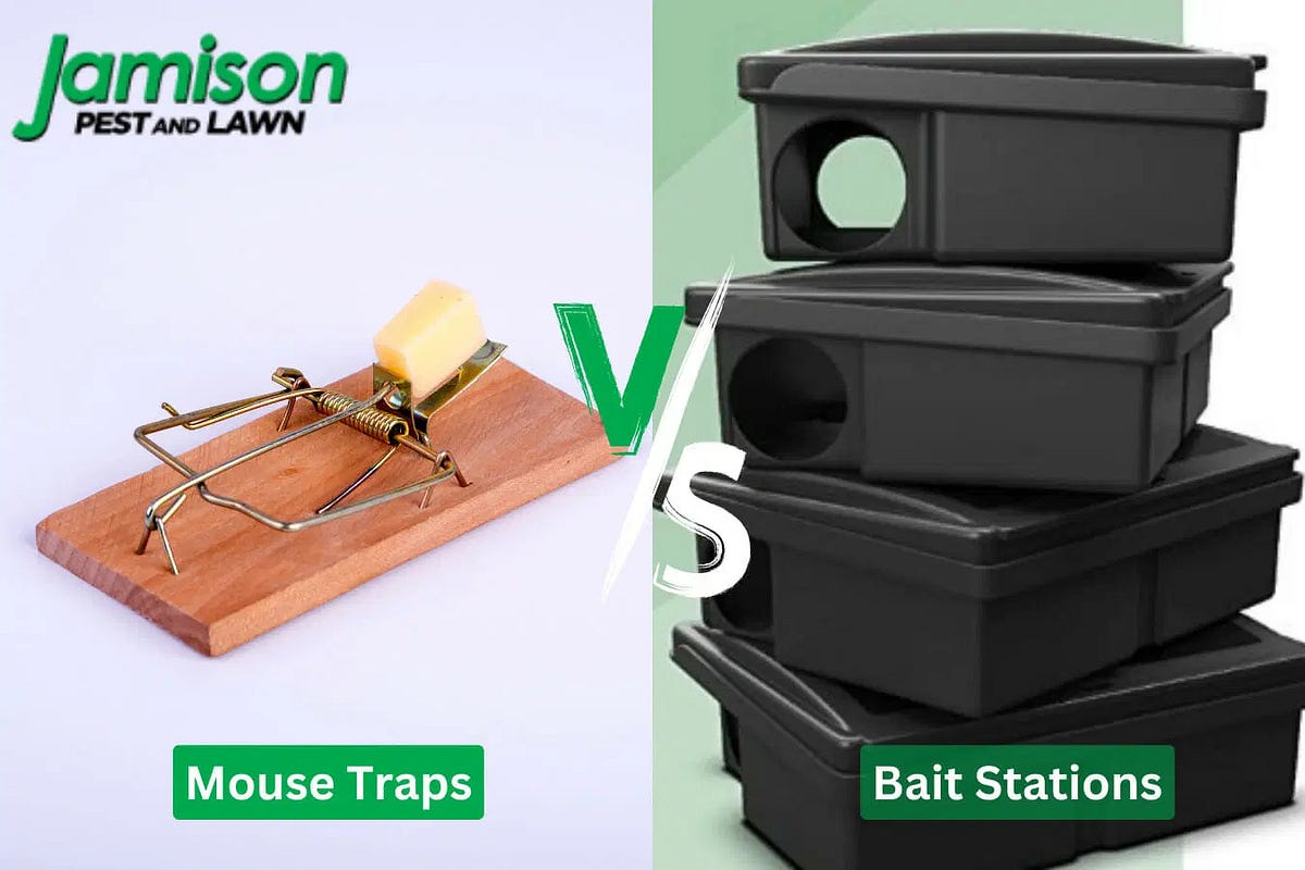 Mouse Traps vs Bait Stations What’s the Difference? Jamison Pest and