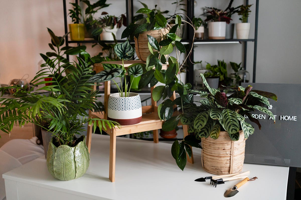 The Best Artificial Plants for Greenery Home by Greeneryimports Jun, 2023 Medium