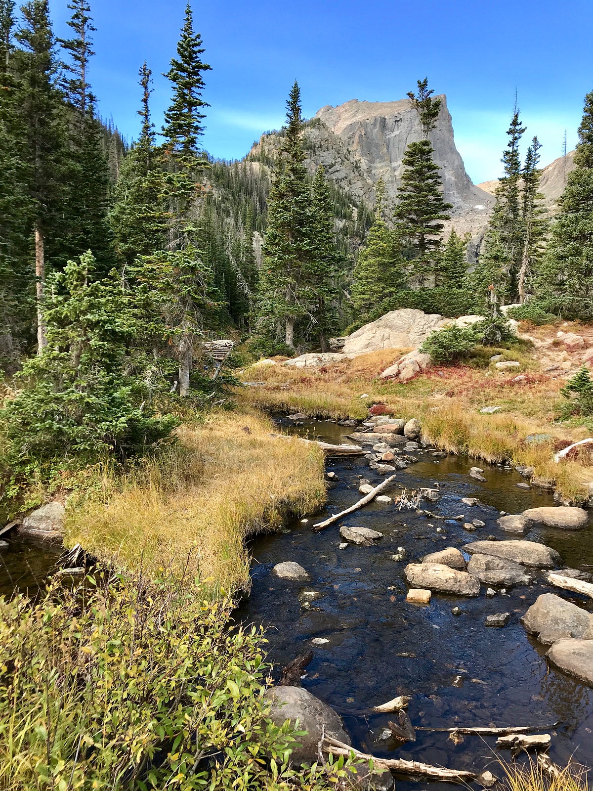 A Poem of Worry Harvey Quast Medium