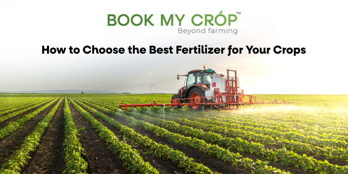 How to Choose the Best Fertilizer for Your Crops by Book My Crop Medium