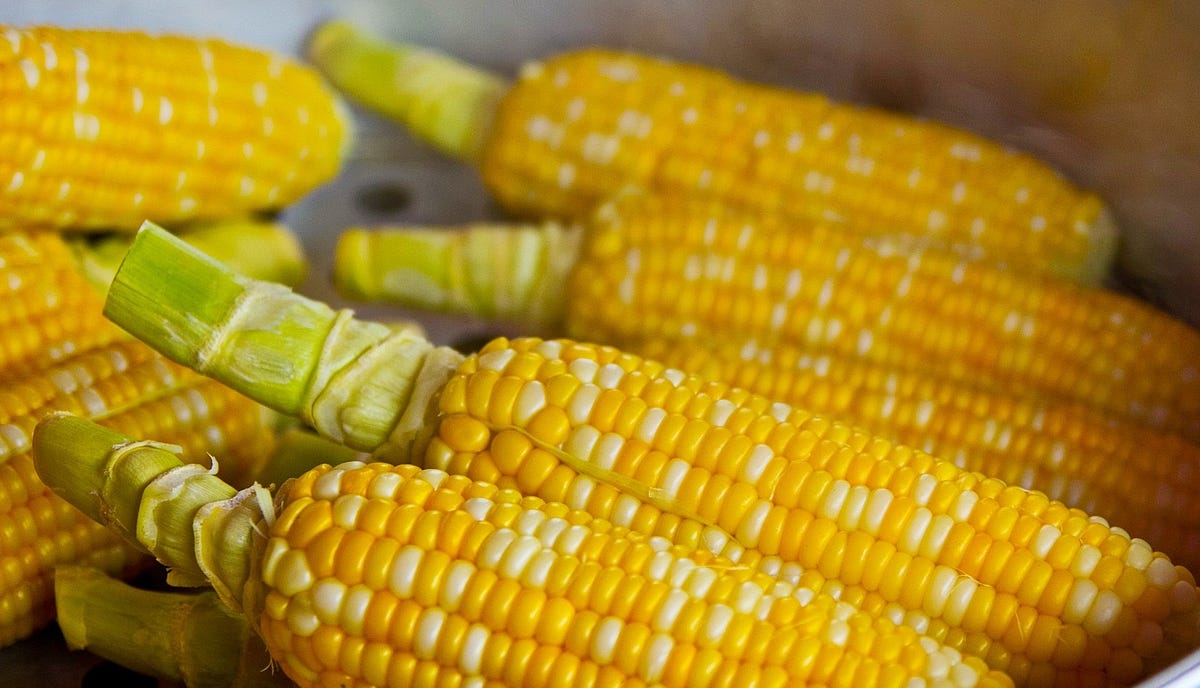 How Long To Bake Corn On The Cob In Oven At 350 Degrees Without Foil? by Melody Medium