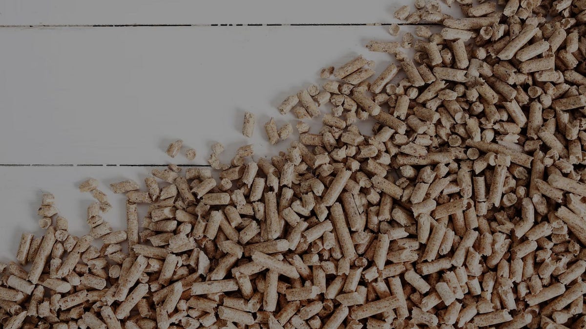 What is wood pulp used for?. Wood pulp is a versatile material that