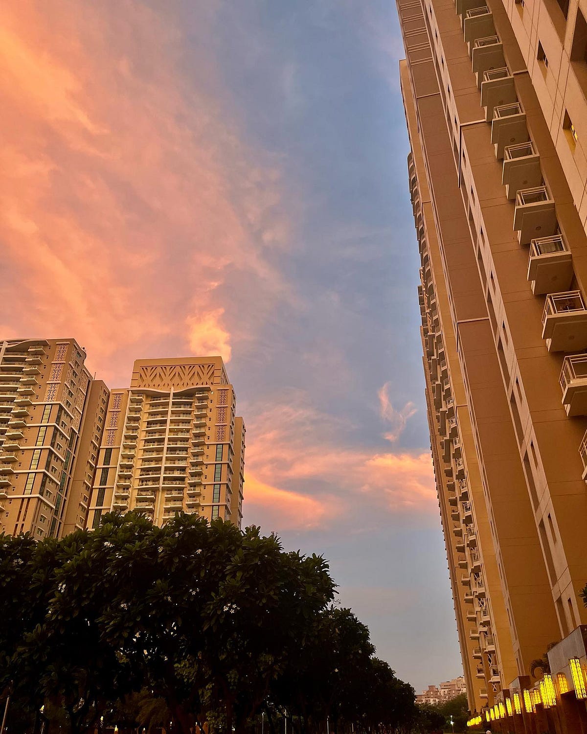 Elevate Your Lifestyle DLF The Park Place Luxury Flats for Rent in