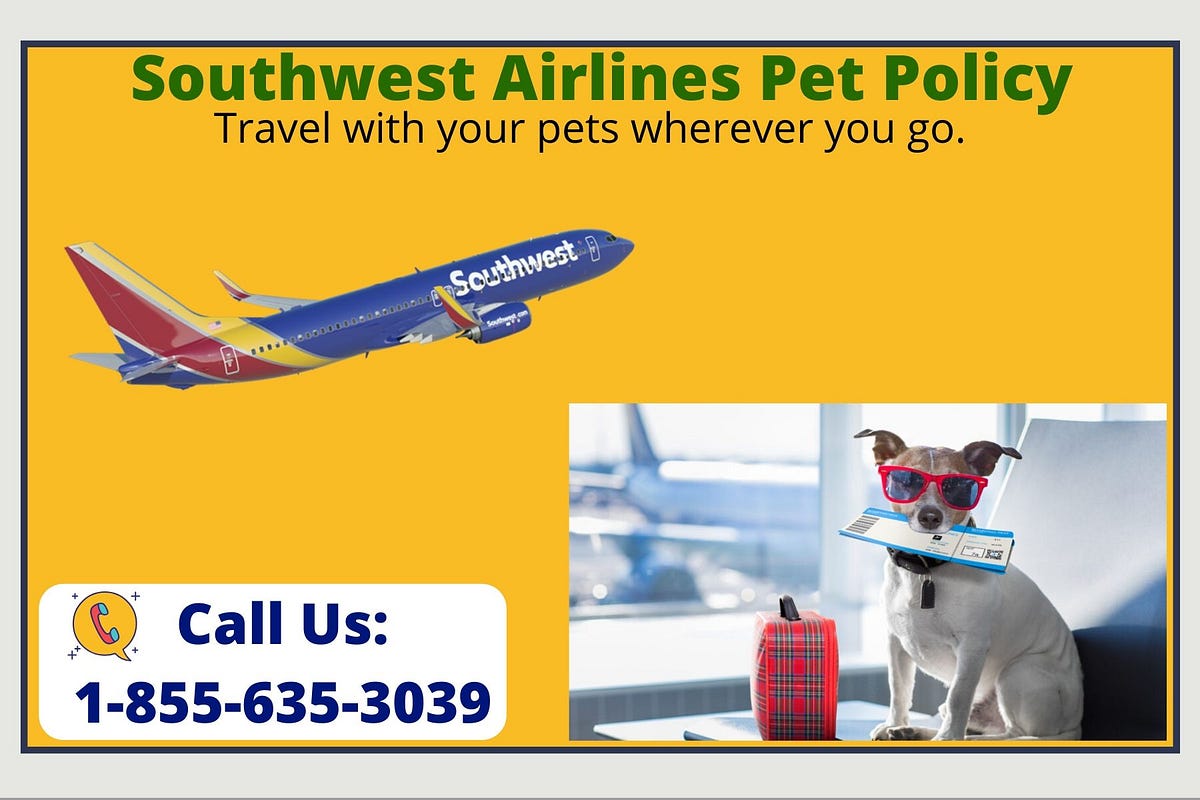 Memorable Journey with your pets in Southwest Airlines by Ruben