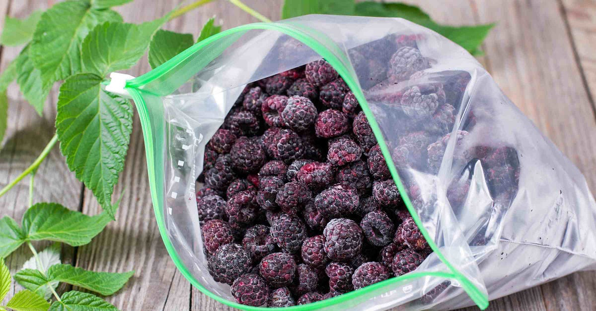 How Many Ziploc Bags Can I Take on a Plane? TSA Bag Rules by Veronica