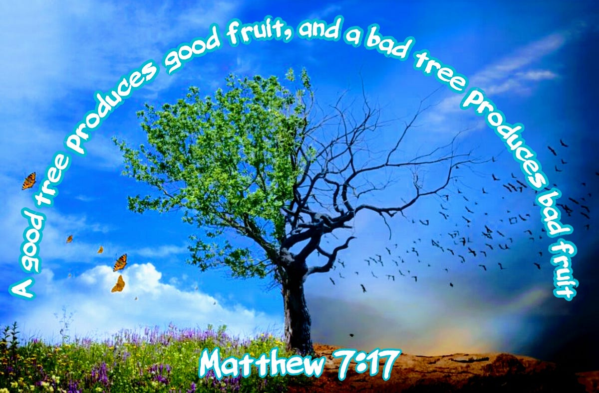 A good tree produces good fruit, and a bad tree produces bad fruit