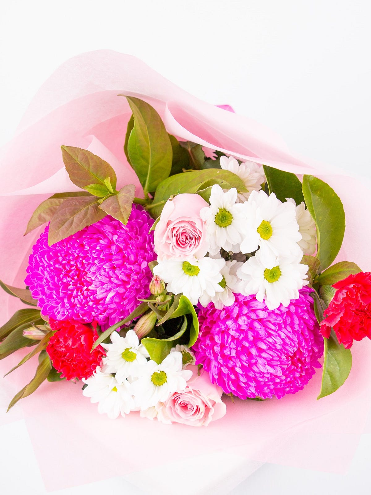 Top 5 Winter Flowers to Send Your Loved One by Aarvis Flowers Medium