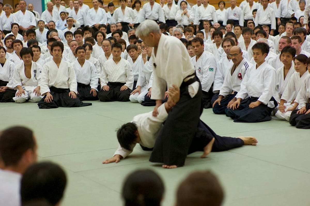 Into the world of Aikido martial arts by Laurence Duncan Medium