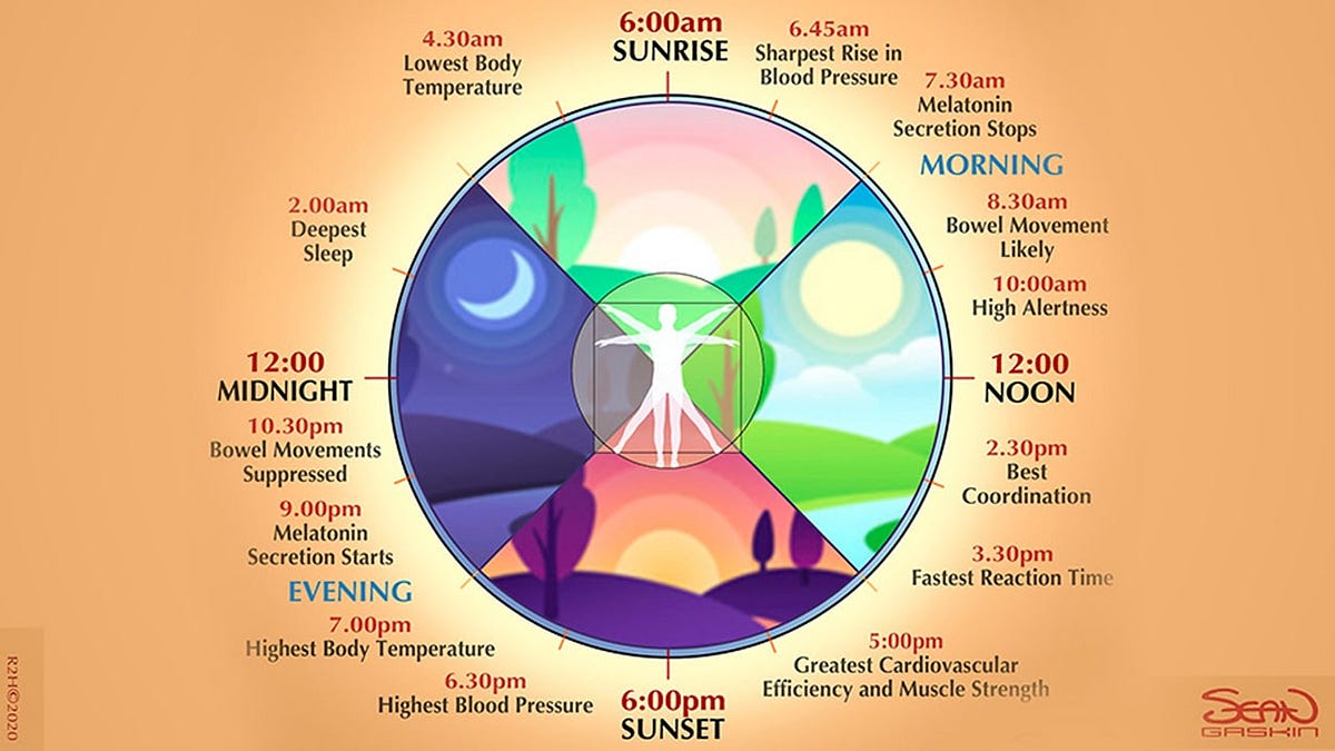 Circadian Rhythms Dictate Our Lives — Here’s How to Build Your Schedule