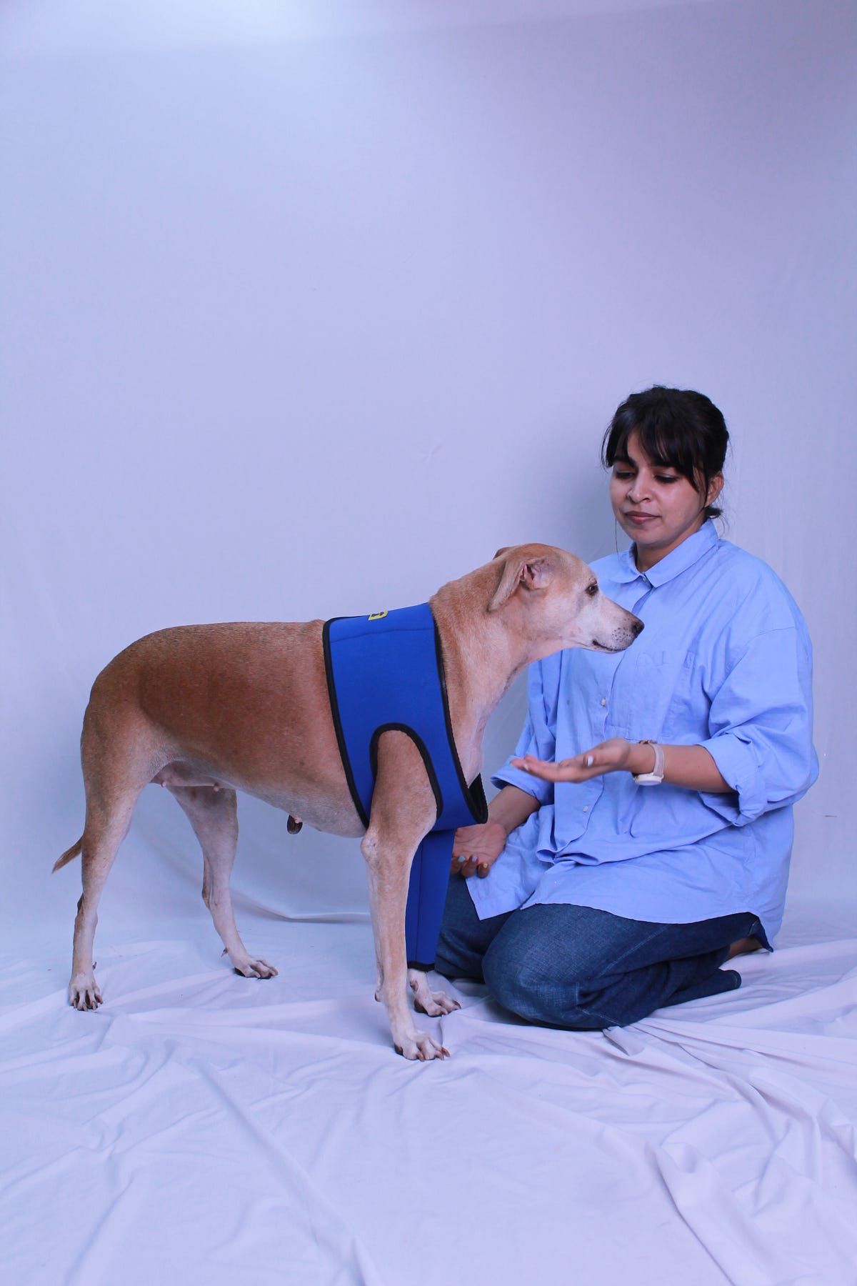 How to keep Your dog's joints healthy During winter? by Aplusapets