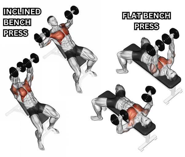 Difference Between Incline And Flat Bench Online head.hesge.ch