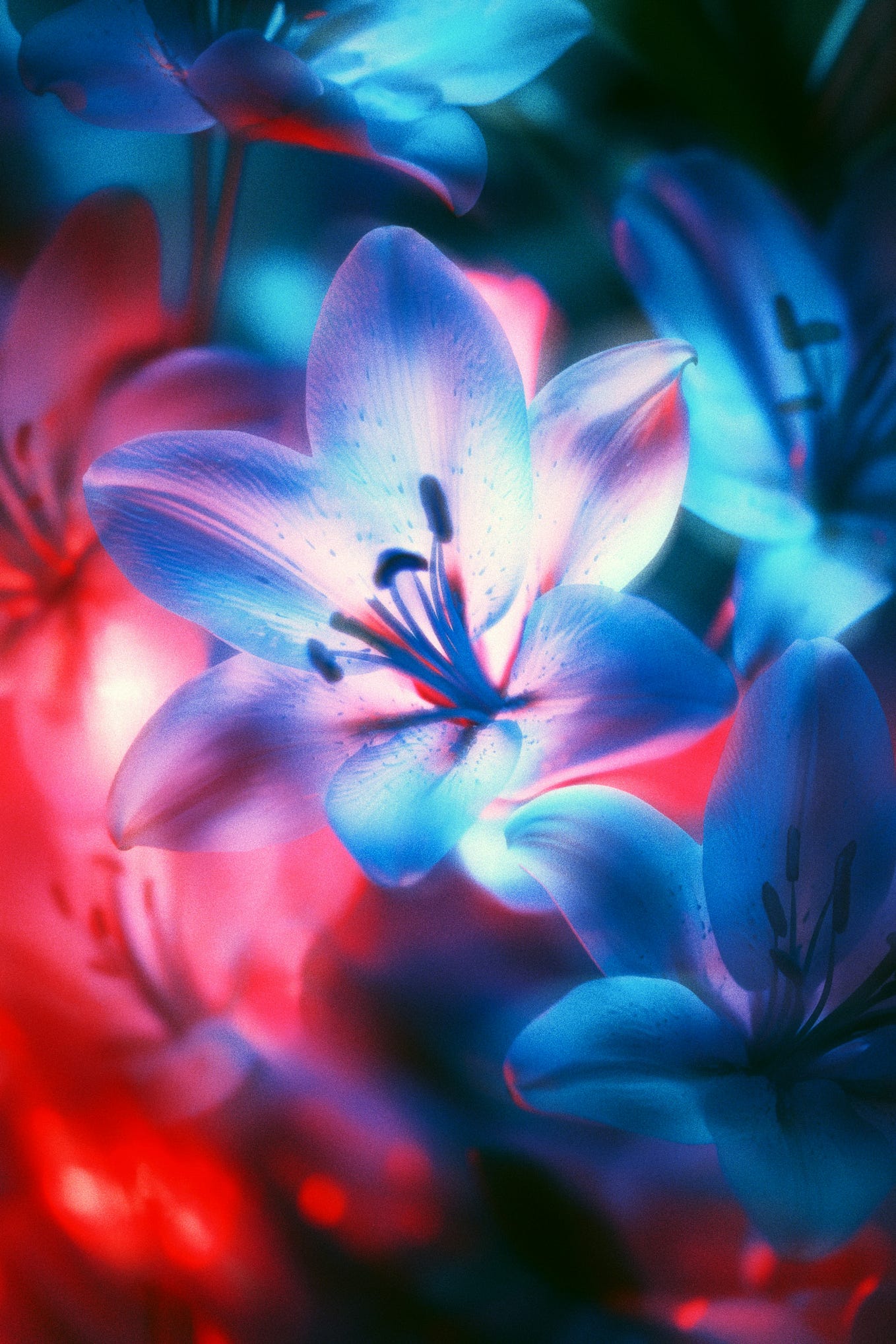 Note I will be adding a fictional name to represent the person by