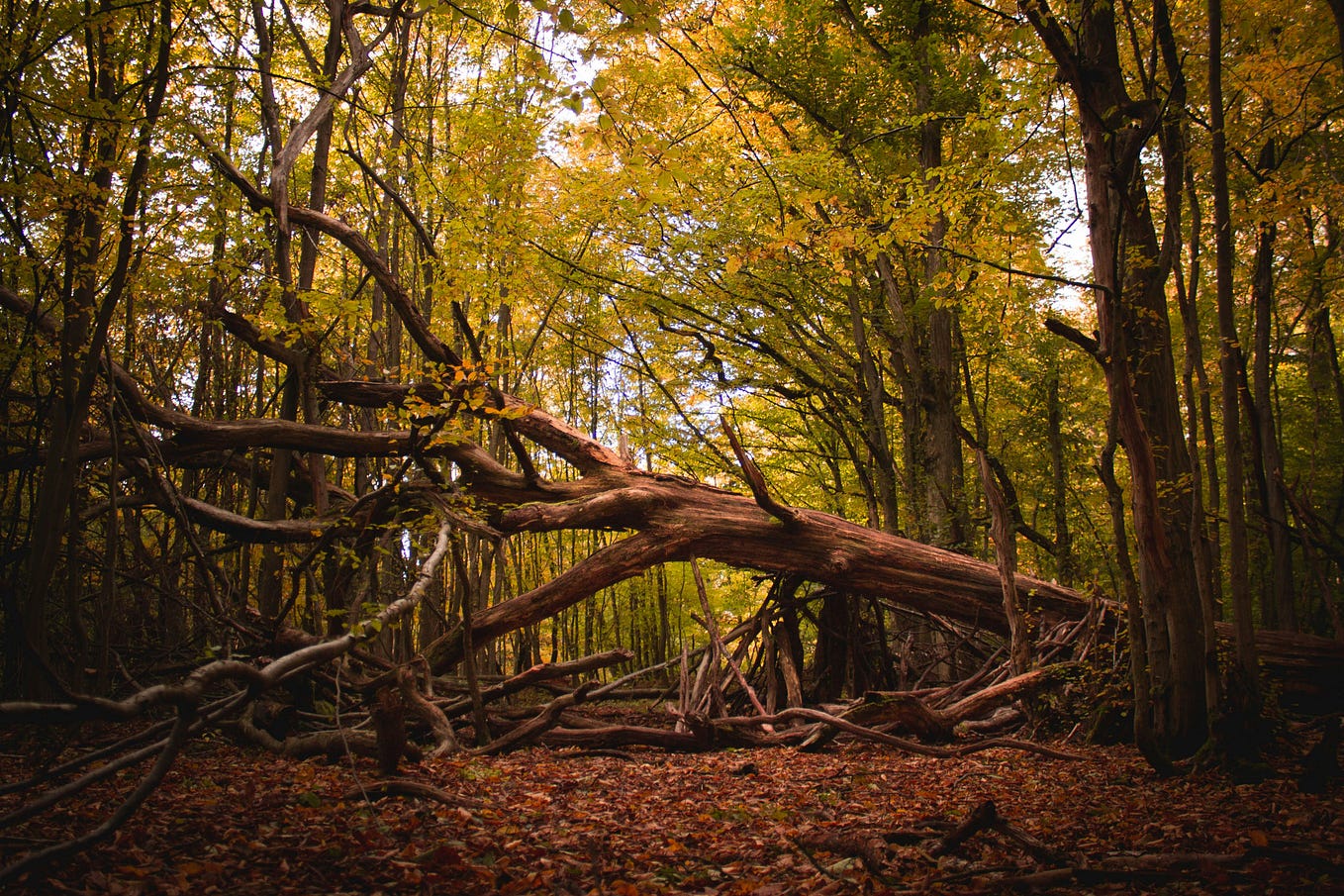 How You Can Change The Type Of People Around You by aurora Word