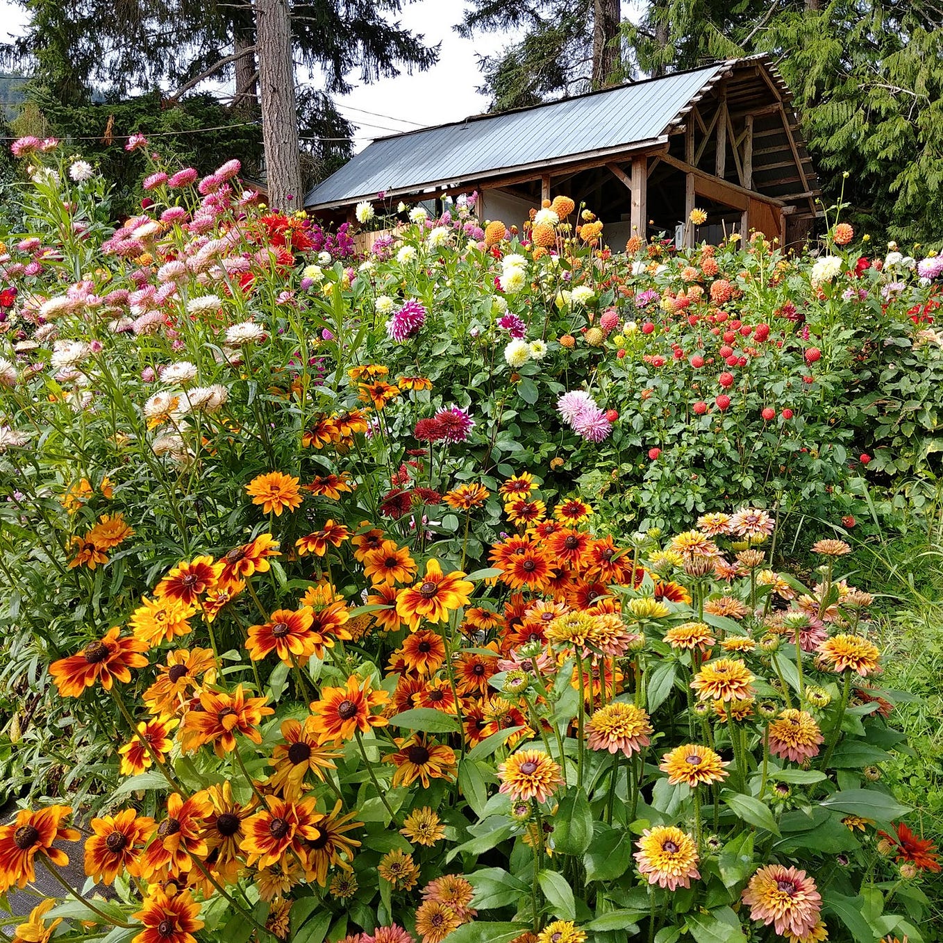 Why Planting a Bee Garden Is Good for Pollinators, Good for the