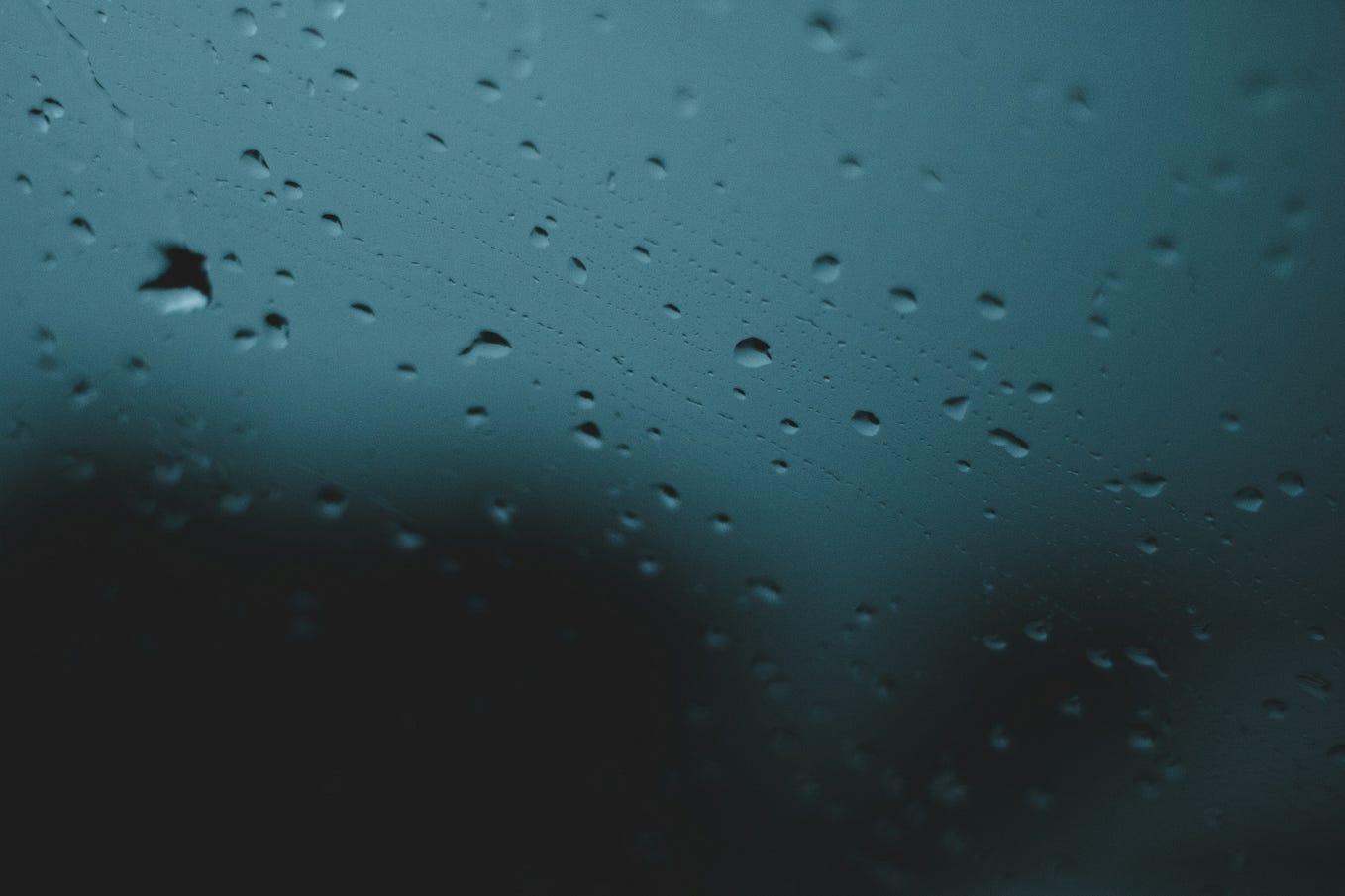 How an Unassuming First Aid Course Became a Creative Adventure by