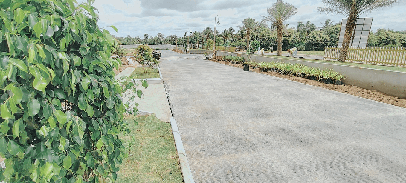 The Future of Real Estate Prospects and Potential of Plots in Mysore