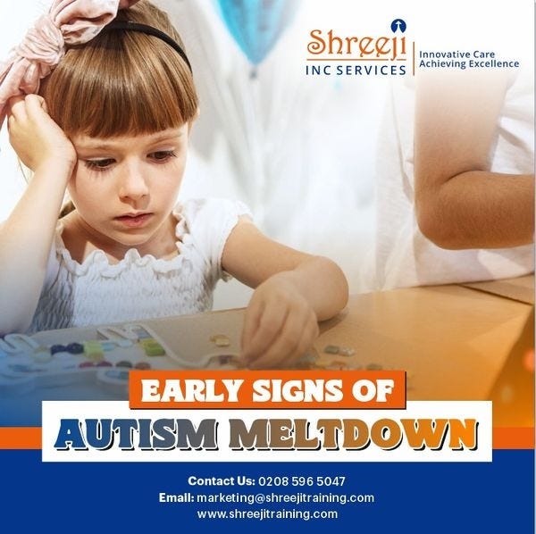 Mastering Autism Studies A Professional Guide to Understanding the