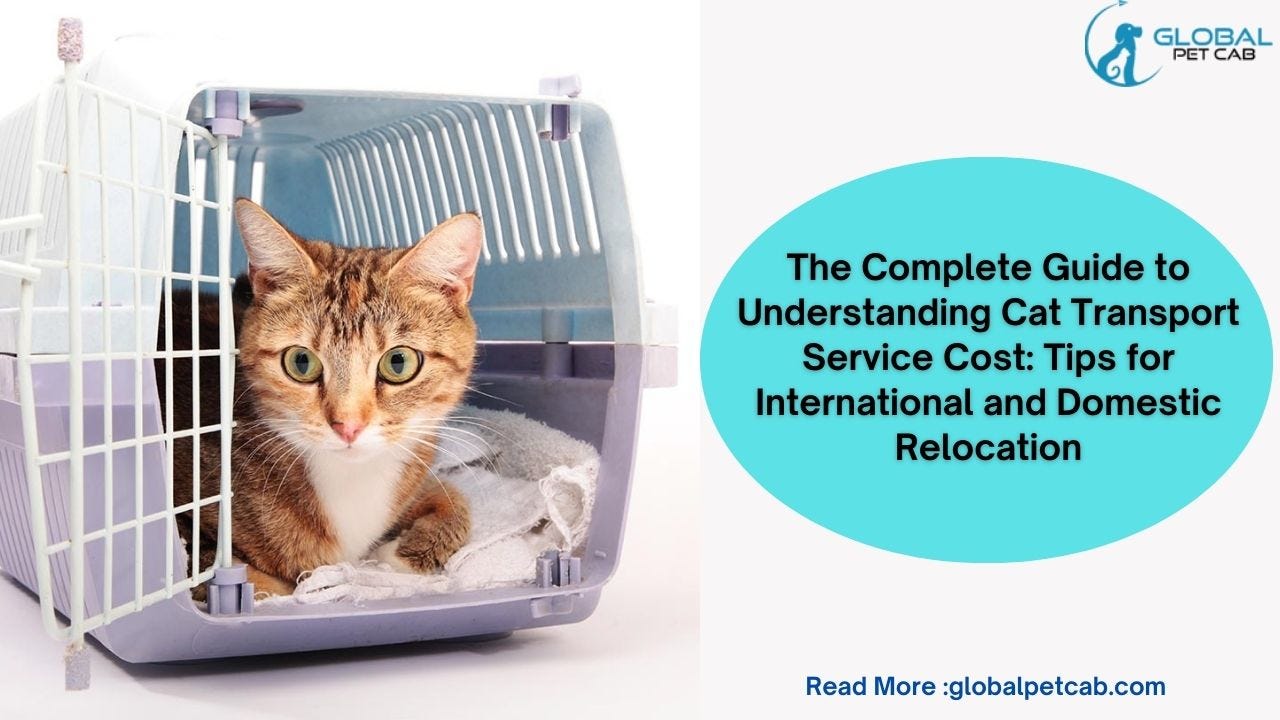The Complete Guide on How to Ship a Dog Internationally by Global Pet
