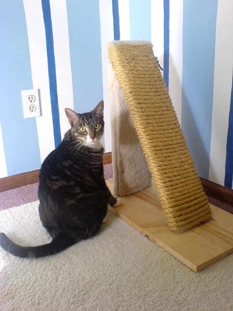 How to Waterproof Clay Pottery? — Spinning Pots by Terry Connor Medium