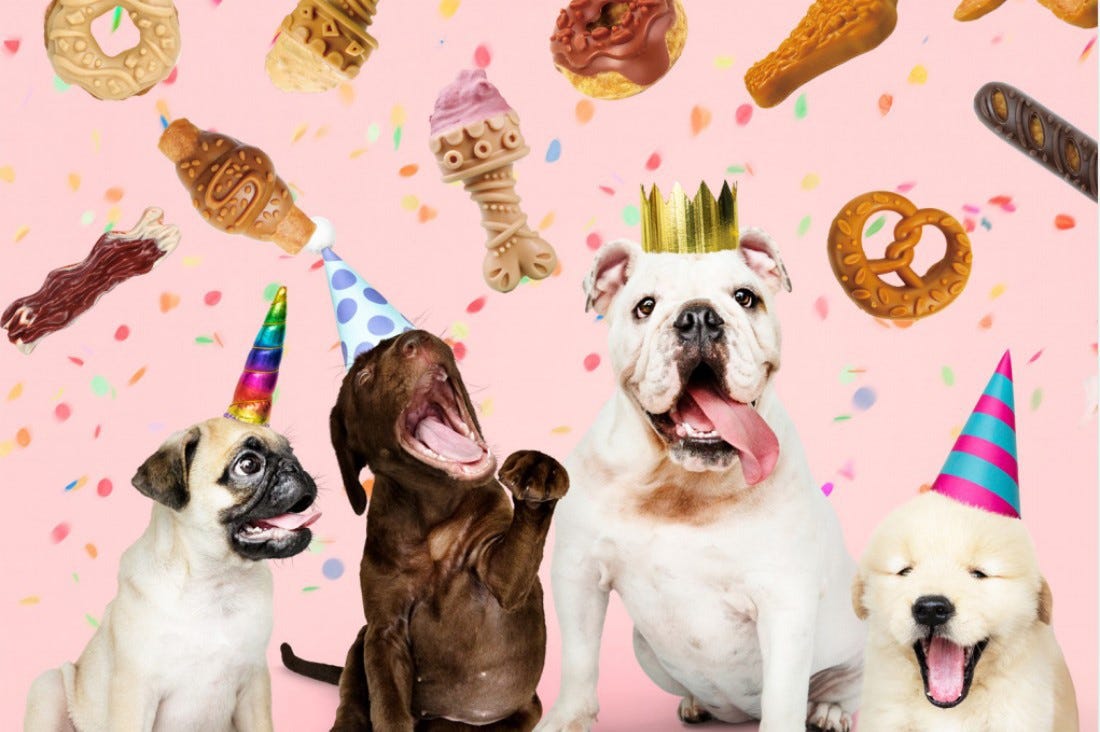 What To Fill Hollow Dog Bones With by Pet Union Medium