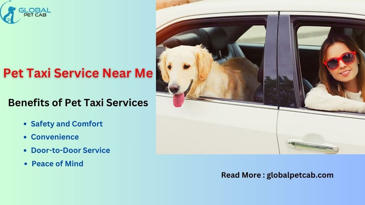 Choosing the Right International Pet Movers A Comprehensive Guide by