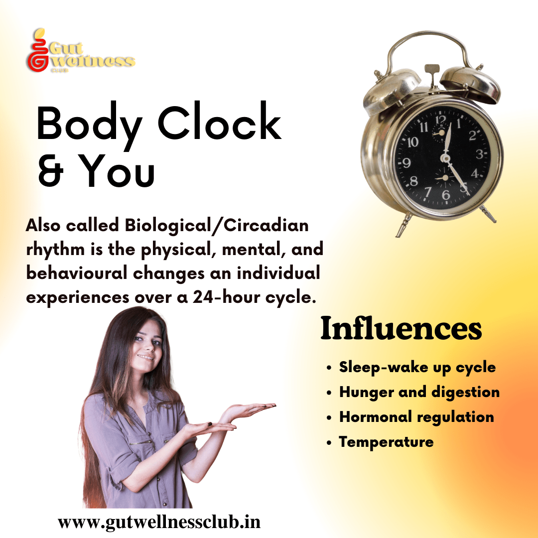 Exploring IBS. Understanding its Origin, Triggers… by Gut Wellness