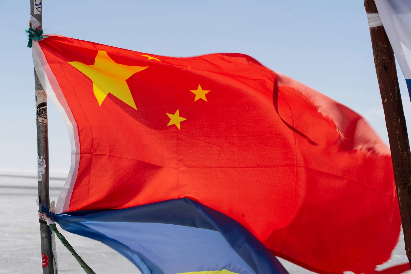 Nature is the Best Teacher Copy That by Jason Cardoza Oct, 2024