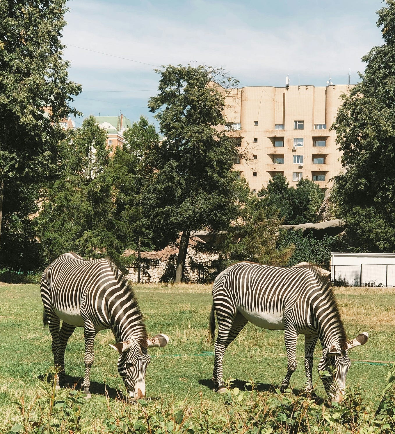 A Mosaic of Random Questions. Lynn wants to know… by Kelly Corinne